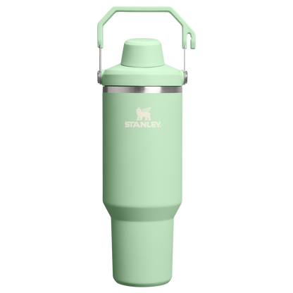 Stanley 20 OZ IceFlow Aerolight Stainless Steel Water Bottle In Pistachio Green with Fast Flow Lid