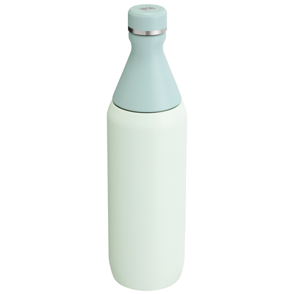 Stanley Leak Proof 20 OZ All Day Slim Bottle with removable collar in Mist