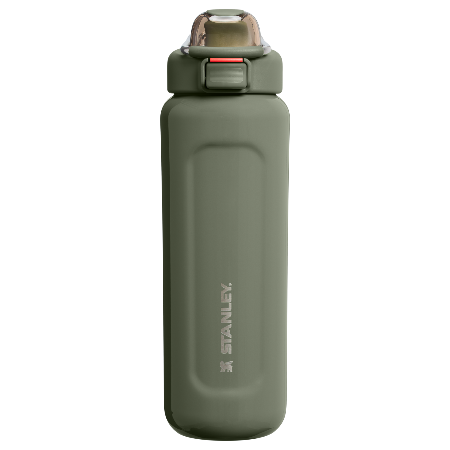 Stanley 24 OZ Well Spring Water Bottle in Dried Pine Green